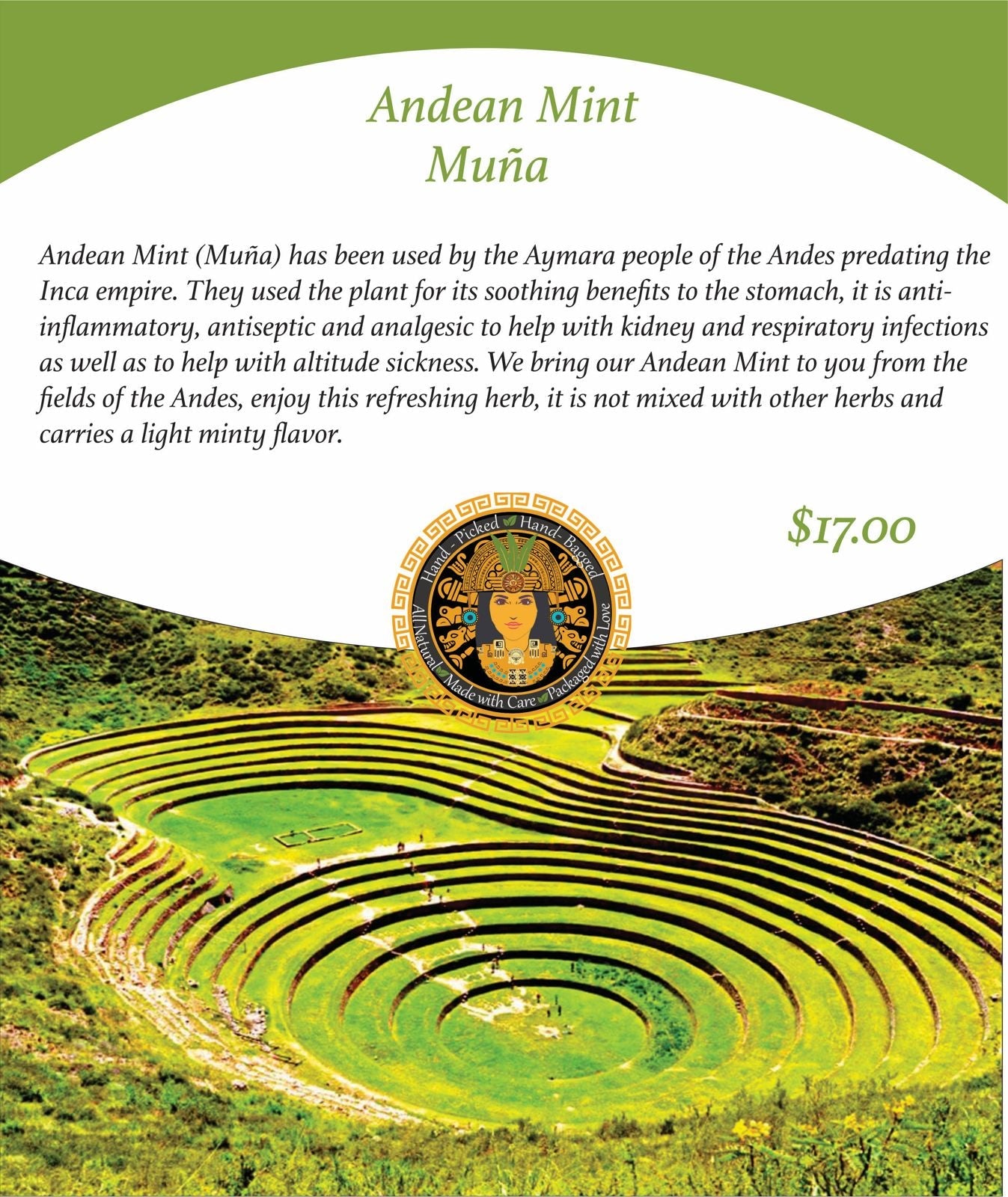 Andean Mint (Muña) - Premium Herbal Blend from Ylla BIO - Just $17! Shop now at Ylla BIO